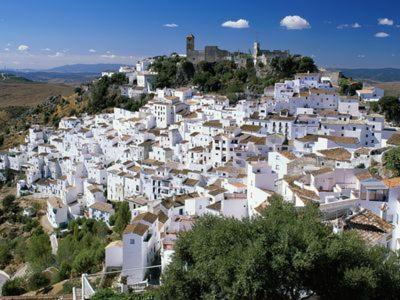 Casares Appart 2 Ch Dans Parc Tropical Avec Vue Sur Mer, Montagne Et Piscine Lägenhet Exteriör bild