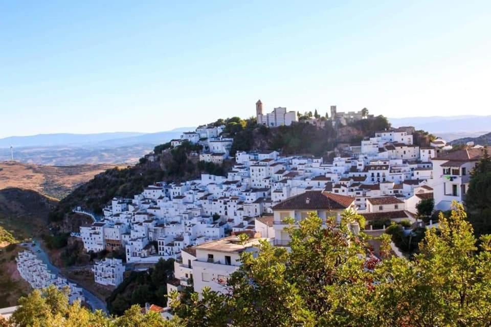 Casares Appart 2 Ch Dans Parc Tropical Avec Vue Sur Mer, Montagne Et Piscine Lägenhet Exteriör bild